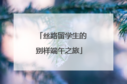 丝路留学生的别样端午之旅