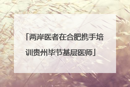 两岸医者在合肥携手培训贵州毕节基层医师