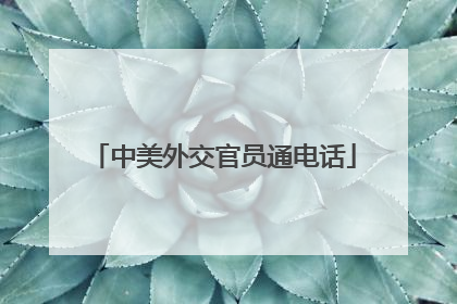 中美外交官员通电话