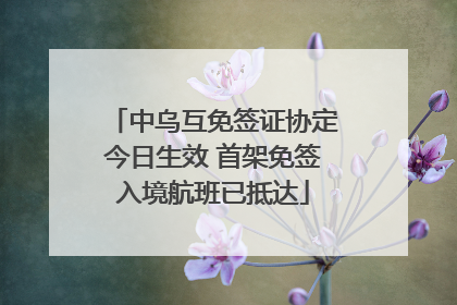 中乌互免签证协定今日生效 首架免签入境航班已抵达