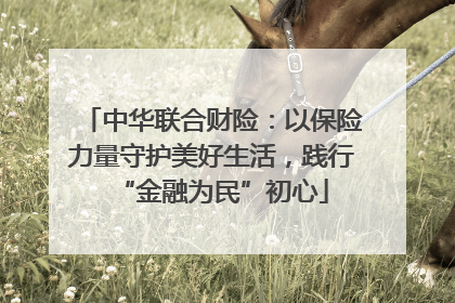 中华联合财险：以保险力量守护美好生活，践行“金融为民”初心