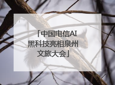 中国电信AI黑科技亮相泉州文旅大会