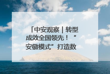 中安观察｜转型成效全国领先！“安徽模式”打造数字化转型新标杆