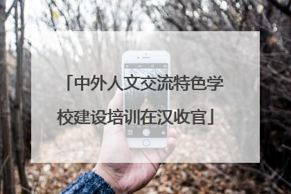 中外人文交流特色学校建设培训在汉收官