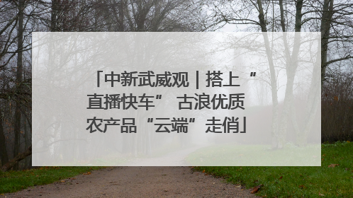 中新武威观｜搭上“直播快车” 古浪优质农产品“云端”走俏