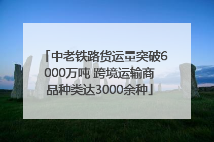 中老铁路货运量突破6000万吨 跨境运输商品种类达3000余种