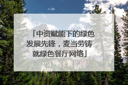 中资赋能下的绿色发展先锋，麦当劳铸就绿色餐厅网络