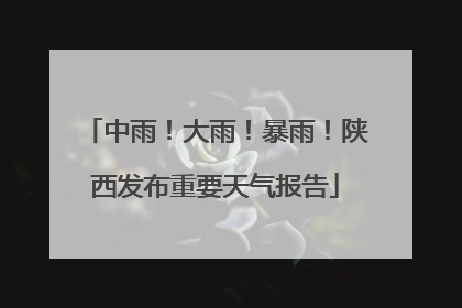 中雨！大雨！暴雨！陕西发布重要天气报告