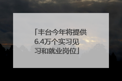 丰台今年将提供6.4万个实习见习和就业岗位