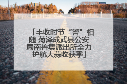 丰收时节“警”相随 菏泽成武县公安局南鲁集派出所全力护航大蒜收获季