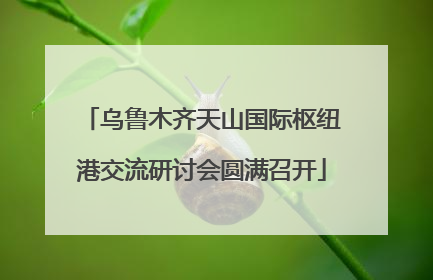 乌鲁木齐天山国际枢纽港交流研讨会圆满召开