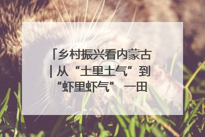 乡村振兴看内蒙古｜从“土里土气”到“虾里虾气” 一田双收模式火出圈