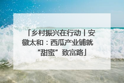 乡村振兴在行动丨安徽太和：西瓜产业铺就“甜蜜”致富路