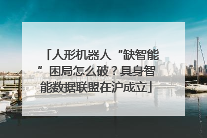 人形机器人“缺智能”困局怎么破？具身智能数据联盟在沪成立