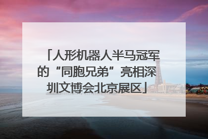 人形机器人半马冠军的“同胞兄弟”亮相深圳文博会北京展区