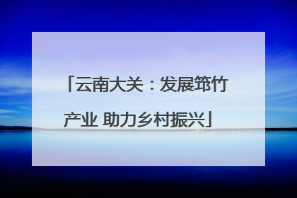 云南大关：发展筇竹产业 助力乡村振兴