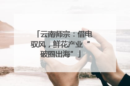 云南师宗：借电驭风，鲜花产业“破圈出海”