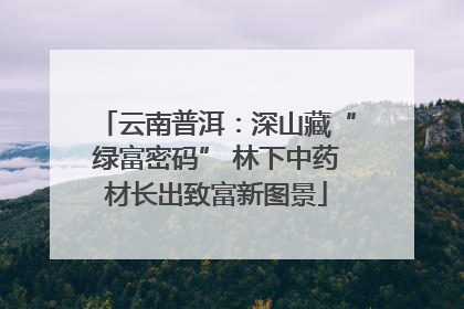 云南普洱：深山藏“绿富密码” 林下中药材长出致富新图景