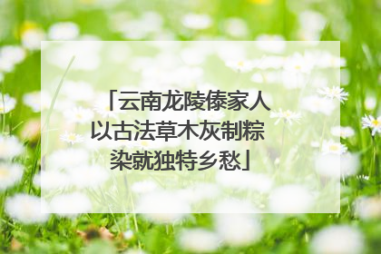 云南龙陵傣家人以古法草木灰制粽 染就独特乡愁