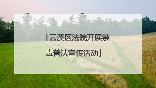 云溪区法院开展禁毒普法宣传活动