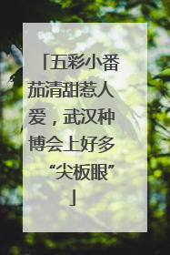 五彩小番茄清甜惹人爱，武汉种博会上好多“尖板眼”