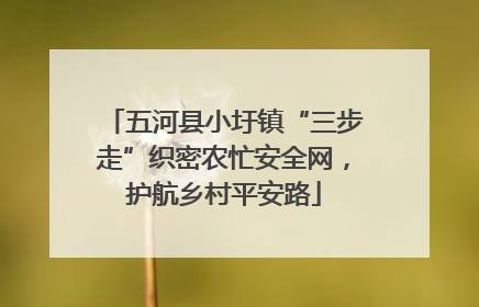 五河县小圩镇“三步走”织密农忙安全网，护航乡村平安路