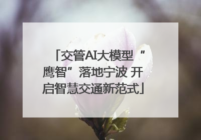 交管AI大模型“鹰智”落地宁波 开启智慧交通新范式