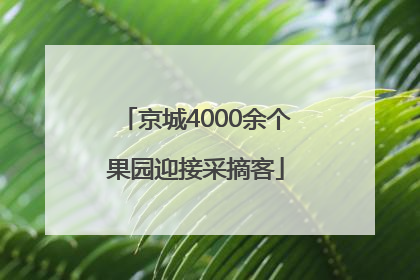 京城4000余个果园迎接采摘客