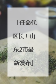 任命代区长！山东2市最新发布