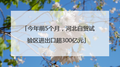 今年前5个月，河北自贸试验区进出口超300亿元