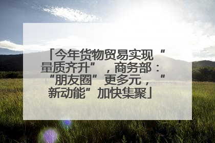 今年货物贸易实现“量质齐升”，商务部：“朋友圈”更多元，“新动能”加快集聚