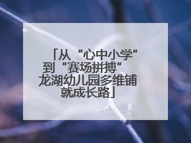 从“心中小学”到“赛场拼搏” 龙湖幼儿园多维铺就成长路
