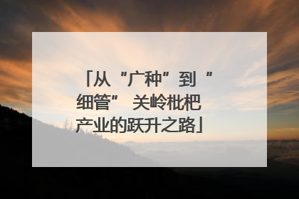 从“广种”到“细管” 关岭枇杷产业的跃升之路