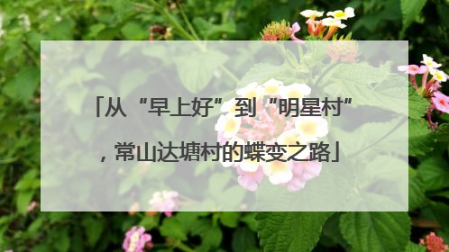 从“早上好”到“明星村”，常山达塘村的蝶变之路