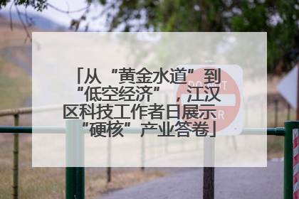 从“黄金水道”到“低空经济”，江汉区科技工作者日展示“硬核”产业答卷