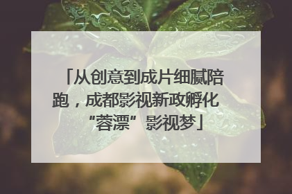 从创意到成片细腻陪跑，成都影视新政孵化“蓉漂”影视梦