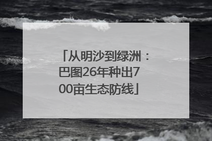 从明沙到绿洲：巴图26年种出700亩生态防线