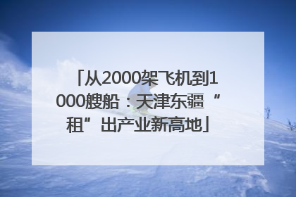 从2000架飞机到1000艘船：天津东疆“租”出产业新高地