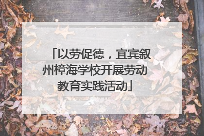 以劳促德，宜宾叙州樟海学校开展劳动教育实践活动