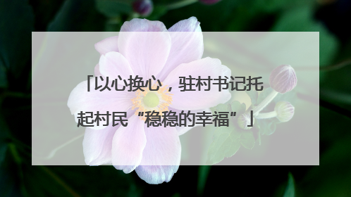 以心换心，驻村书记托起村民“稳稳的幸福”