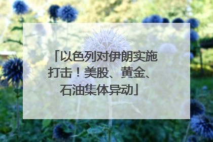 以色列对伊朗实施打击！美股、黄金、石油集体异动