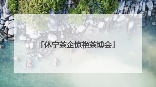 休宁茶企惊艳茶博会