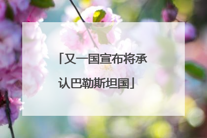 又一国宣布将承认巴勒斯坦国