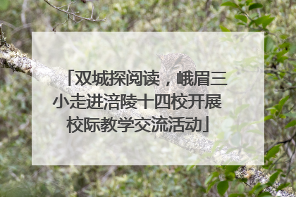双城探阅读，峨眉三小走进涪陵十四校开展校际教学交流活动
