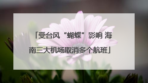 受台风“蝴蝶”影响 海南三大机场取消多个航班