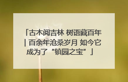 古木阅吉林 树语藏百年｜百余年沧桑岁月 如今它成为了“镇园之宝”