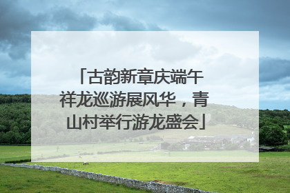 古韵新章庆端午 祥龙巡游展风华，青山村举行游龙盛会
