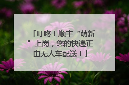 叮咚！顺丰“萌新”上岗，您的快递正由无人车配送！