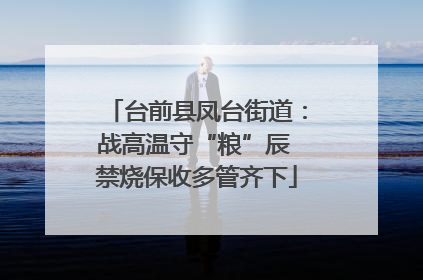 台前县凤台街道：战高温守“粮”辰 禁烧保收多管齐下