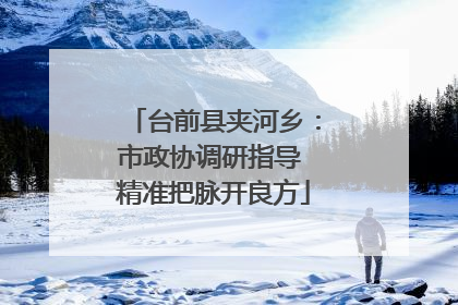 台前县夹河乡：市政协调研指导 精准把脉开良方